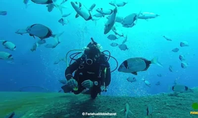 Nord Kypros scuba diving paradis