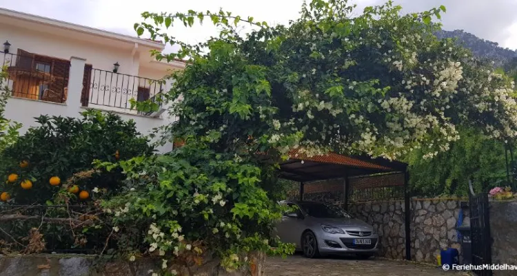 bougainvillae over porten inn til en villa i Ilgaz Kypros en hyggelig Kypriotisk landsby