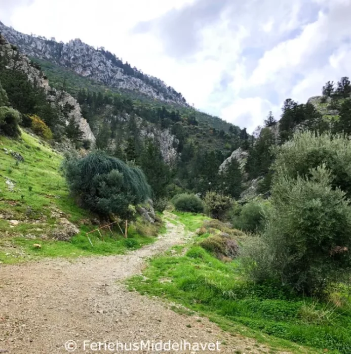 En gåvei som går opp i fjellene og naturlandskapet fra Ilgaz Nord Kypros