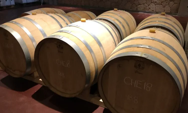 Verdens eldste vin fra Kypros – produseres fremdeles